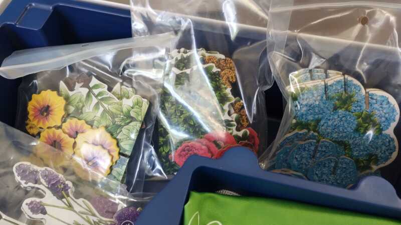 Foto del juego Papillon