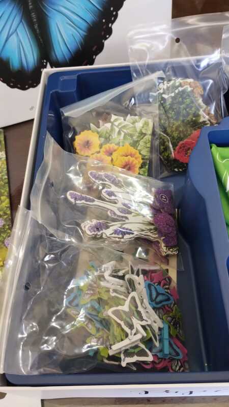 Foto del juego Papillon