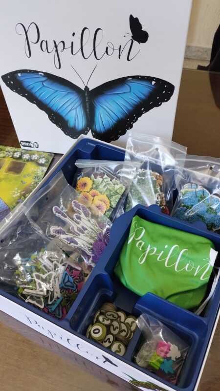 Foto del juego Papillon