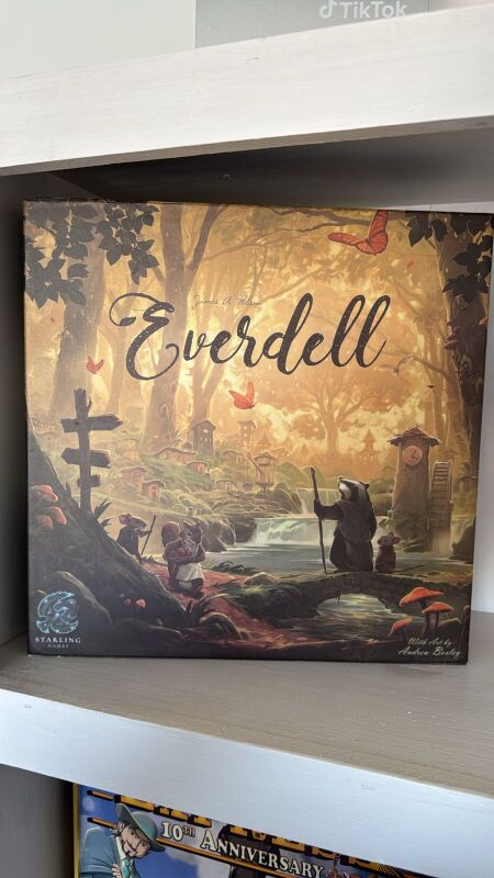 Foto del juego Everdell