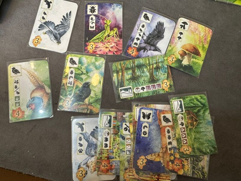 Foto del juego Pradera