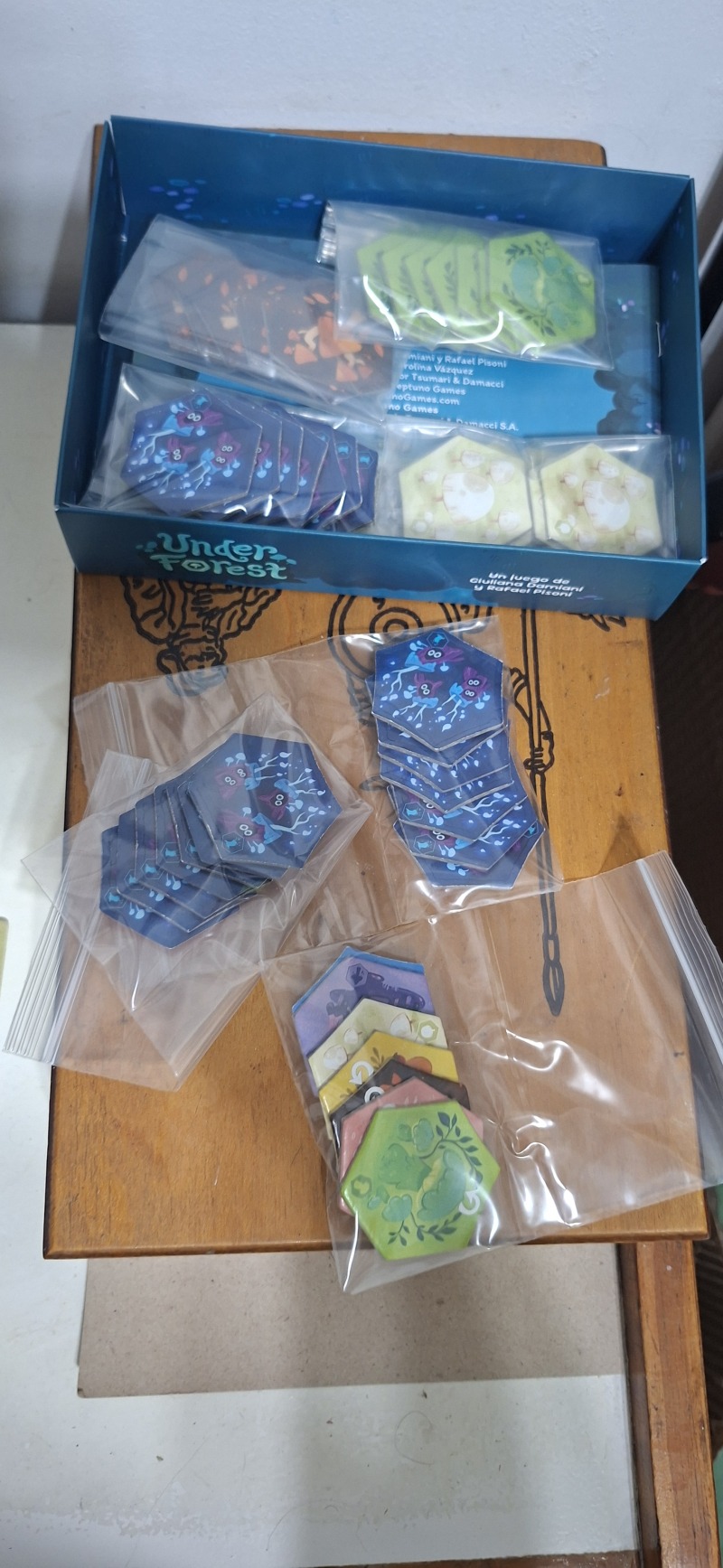 Foto del juego Under Forest